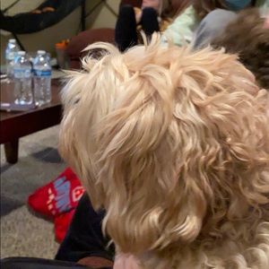 Meet your Posher, Jim